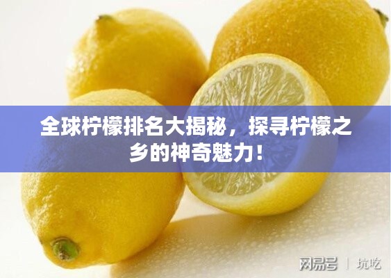 全球檸檬排名大揭秘，探尋檸檬之鄉(xiāng)的神奇魅力！