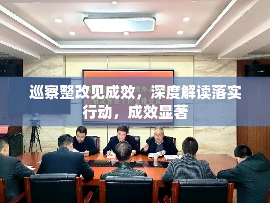 巡察整改見成效，深度解讀落實(shí)行動(dòng)，成效顯著