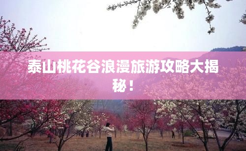 泰山桃花谷浪漫旅游攻略大揭秘！