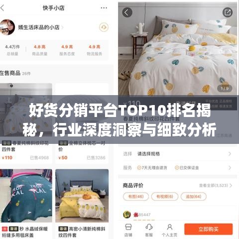 好貨分銷平臺(tái)TOP10排名揭秘，行業(yè)深度洞察與細(xì)致分析