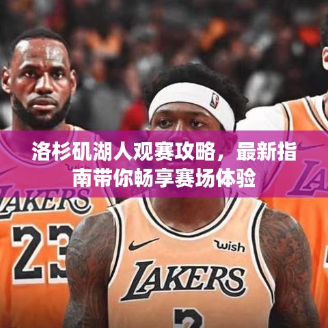 洛杉磯湖人觀賽攻略，最新指南帶你暢享賽場(chǎng)體驗(yàn)