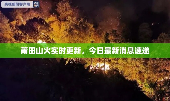 莆田山火實時更新，今日最新消息速遞