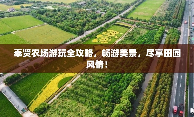 奉賢農(nóng)場游玩全攻略，暢游美景，盡享田園風(fēng)情！