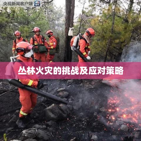 叢林火災的挑戰(zhàn)及應對策略