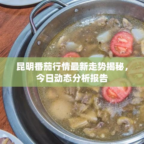 昆明番茄行情最新走勢(shì)揭秘，今日動(dòng)態(tài)分析報(bào)告