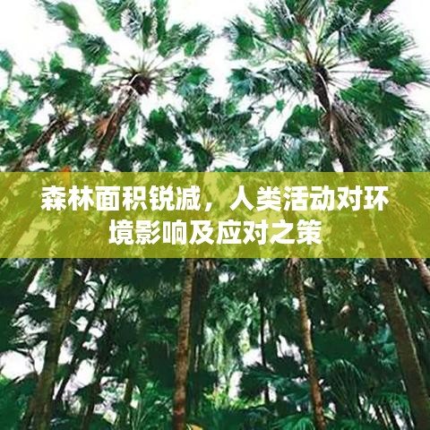 森林面積銳減，人類活動對環(huán)境影響及應(yīng)對之策