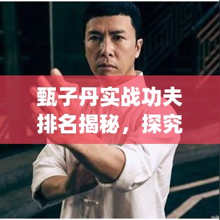 甄子丹實(shí)戰(zhàn)功夫排名揭秘，探究武術(shù)巨星的超凡實(shí)力