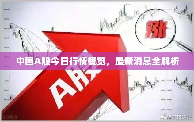 中國A股今日行情概覽，最新消息全解析