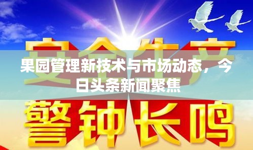 果園管理新技術(shù)與市場動態(tài)，今日頭條新聞聚焦