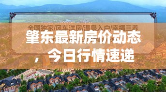 肇東最新房價(jià)動(dòng)態(tài)，今日行情速遞