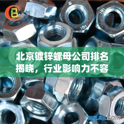 北京鍍鋅螺母公司排名揭曉，行業(yè)影響力不容小覷