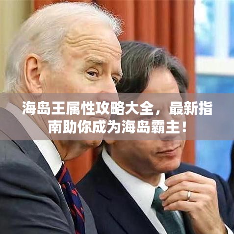 海島王屬性攻略大全，最新指南助你成為海島霸主！
