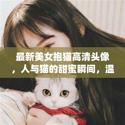 最新美女抱貓高清頭像，人與貓的甜蜜瞬間，溫馨畫(huà)面不容錯(cuò)過(guò)