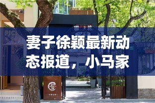 妻子徐穎最新動態(tài)報道，小馬家的新鮮事