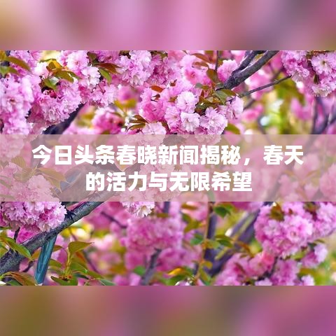 今日頭條春曉新聞揭秘，春天的活力與無限希望