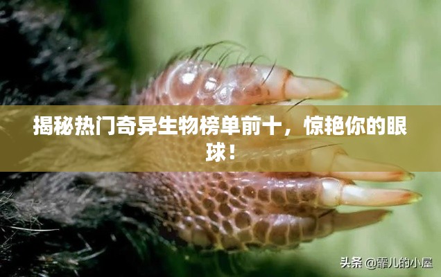 揭秘?zé)衢T奇異生物榜單前十，驚艷你的眼球！