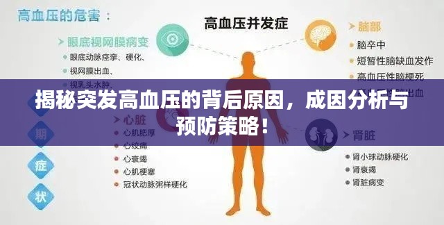 揭秘突發(fā)高血壓的背后原因，成因分析與預(yù)防策略！