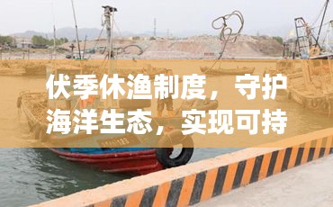 伏季休漁制度，守護(hù)海洋生態(tài)，實(shí)現(xiàn)可持續(xù)發(fā)展之路