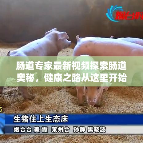 腸道專家最新視頻探索腸道奧秘，健康之路從這里開始
