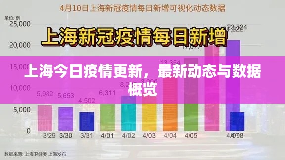 上海今日疫情更新，最新動態(tài)與數(shù)據(jù)概覽