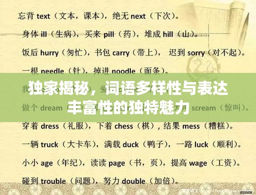獨家揭秘，詞語多樣性與表達豐富性的獨特魅力