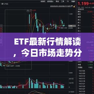 ETF最新行情解讀，今日市場走勢分析