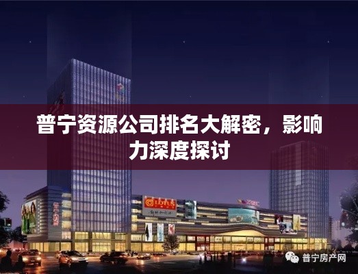 普寧資源公司排名大解密，影響力深度探討