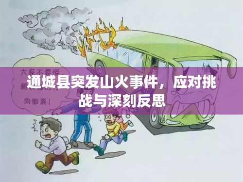 通城縣突發(fā)山火事件，應(yīng)對(duì)挑戰(zhàn)與深刻反思