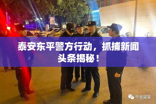 泰安東平警方行動(dòng)，抓捕新聞?lì)^條揭秘！