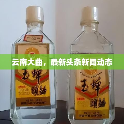 云南大曲，最新頭條新聞動(dòng)態(tài)