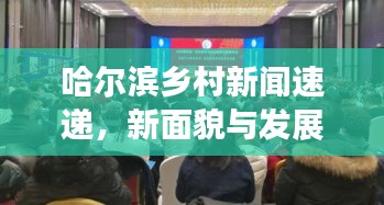 哈爾濱鄉(xiāng)村新聞速遞，新面貌與發(fā)展活力展現(xiàn)