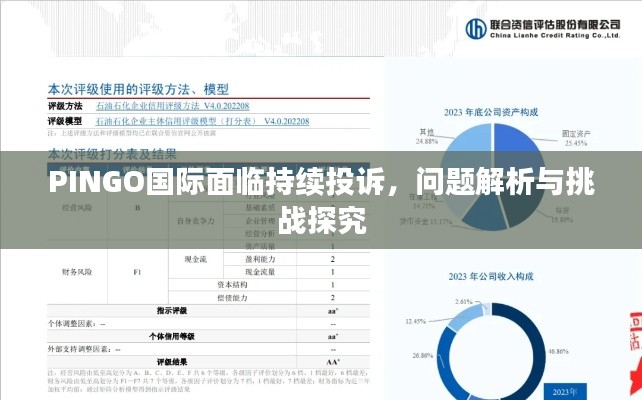 PINGO國(guó)際面臨持續(xù)投訴，問(wèn)題解析與挑戰(zhàn)探究