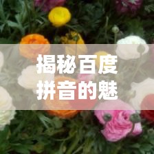 揭秘百度拼音的魅力，一鍵探索全面精準(zhǔn)的拼音查詢(xún)
