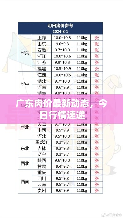 廣東肉價(jià)最新動(dòng)態(tài)，今日行情速遞