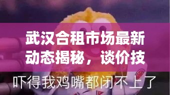武漢合租市場最新動態(tài)揭秘，談價技巧與租房攻略分享