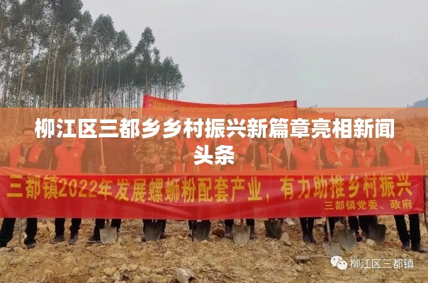 柳江區(qū)三都鄉(xiāng)鄉(xiāng)村振興新篇章亮相新聞?lì)^條