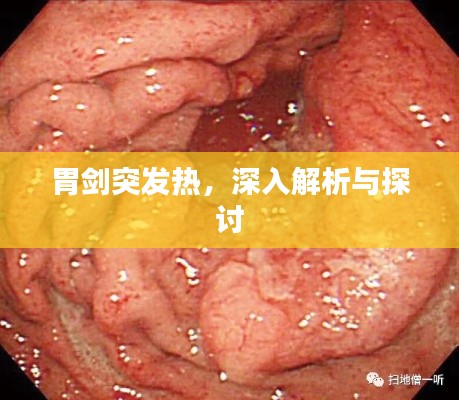 胃劍突發(fā)熱，深入解析與探討