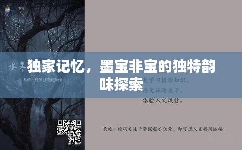 獨家記憶，墨寶非寶的獨特韻味探索