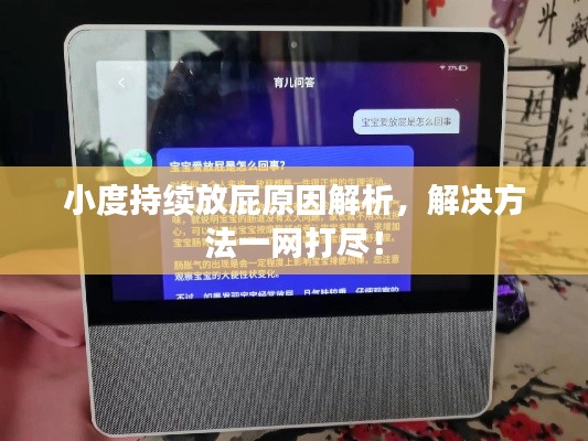 小度持續(xù)放屁原因解析，解決方法一網(wǎng)打盡！