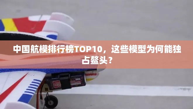 中國(guó)航模排行榜TOP10，這些模型為何能獨(dú)占鰲頭？