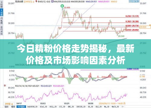 今日精粉價(jià)格走勢(shì)揭秘，最新價(jià)格及市場(chǎng)影響因素分析