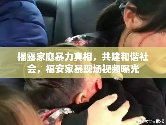 揭露家庭暴力真相，共建和諧社會，福安家暴現(xiàn)場視頻曝光
