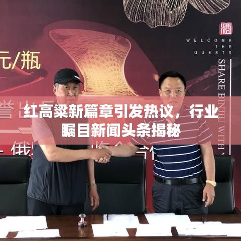 紅高粱新篇章引發(fā)熱議，行業(yè)矚目新聞頭條揭秘