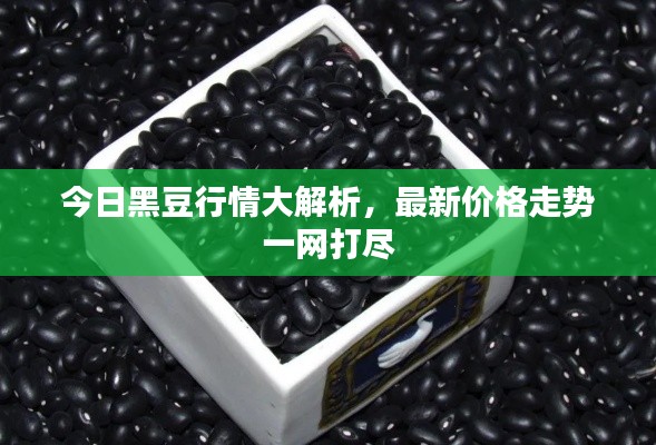 今日黑豆行情大解析，最新價(jià)格走勢(shì)一網(wǎng)打盡