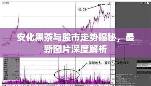 安化黑茶與股市走勢(shì)揭秘，最新圖片深度解析