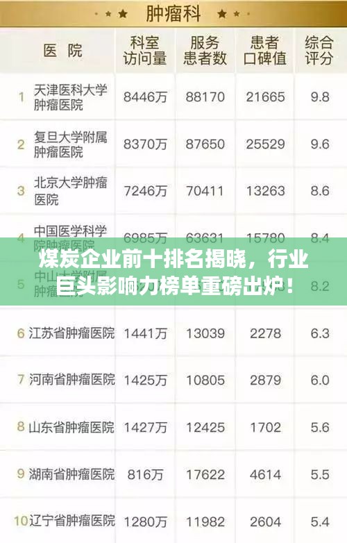 煤炭企業(yè)前十排名揭曉，行業(yè)巨頭影響力榜單重磅出爐！