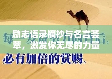 勵志語錄摘抄與名言薈萃，激發(fā)你無盡的力量源泉