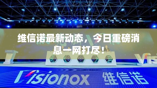 維信諾最新動(dòng)態(tài)，今日重磅消息一網(wǎng)打盡！