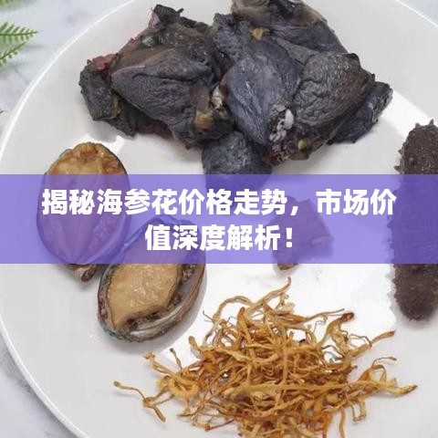 揭秘海參花價格走勢，市場價值深度解析！
