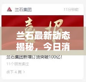 蘭石最新動態(tài)揭秘，今日消息一網(wǎng)打盡！